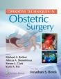 Operative Techniques In Obstetric Surgery - Preview
