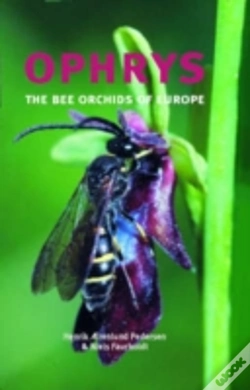Capa do artigo Ophrys