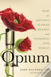 Capa do artigo Opium
