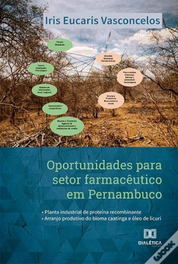 Capa do artigo Oportunidades Para Setor Farmacêutico Em Pernambuco