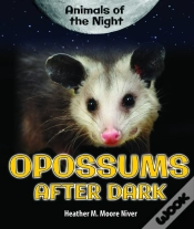 Capa do artigo Opossums After Dark