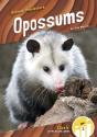 Opossums - Preview