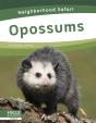 Opossums - Preview