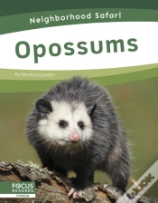 Capa do artigo Opossums