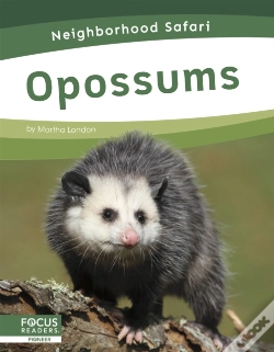 Capa do artigo Opossums