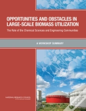 Capa do artigo Opportunities And Obstacles In Large-Scale Biomass Utilization