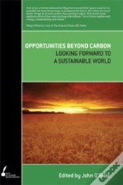 Capa do artigo Opportunities Beyond Carbon
