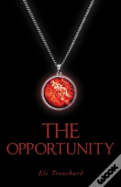Capa do artigo Opportunity