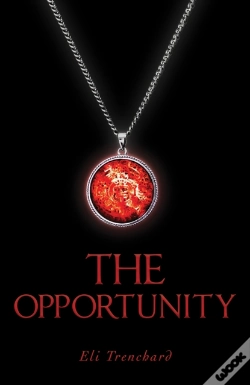 Capa do artigo Opportunity