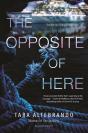 Opposite Of Here - Preview