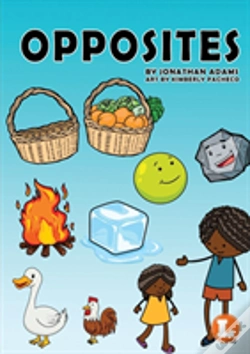 Capa do artigo Opposites