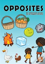 Capa do artigo Opposites