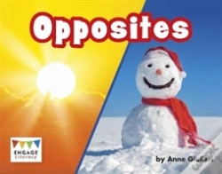 Capa do artigo Opposites