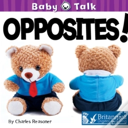 Capa do artigo Opposites!