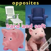 Capa do artigo Opposites: Hard And Soft