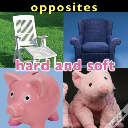Capa do artigo Opposites: Hard And Soft