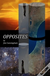 Capa do artigo Opposites