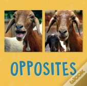 Opposites
