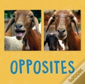 Capa do artigo Opposites