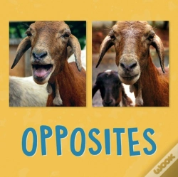 Capa do artigo Opposites