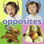 Opposites - Preview
