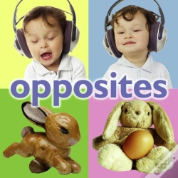Capa do artigo Opposites