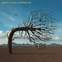 Capa do artigo Opposites - Vinil
