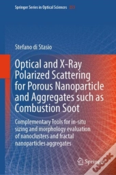 Optical And X-Ray Polarized Scattering For Porous Nanoparticles And Aggregates Such As Combustion Soot