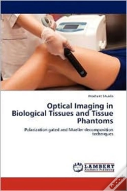 Capa do artigo Optical Imaging In Biological Tissues And Tissue Phantoms