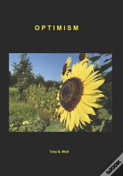 Capa do artigo Optimism