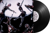 Capa do artigo Optimist - Vinil