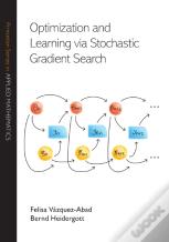 Optimization And Learning Via Stochastic Gradient Search