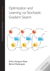 Optimization And Learning Via Stochastic Gradient Search