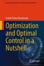 Optimization And Optimal Control In A Nutshell - Preview