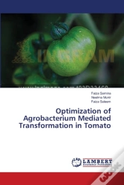 Capa do artigo Optimization Of Agrobacterium Mediated Transformation In Tomato
