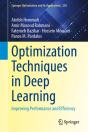 Optimization Techniques For Deep Learning - Preview