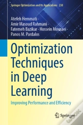 Optimization Techniques For Deep Learning