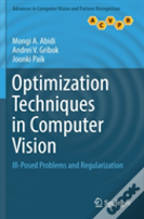 Optimization Techniques In Computer Vision