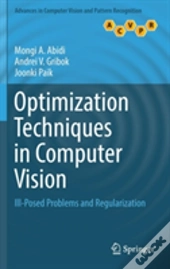 Optimization Techniques In Computer Vision