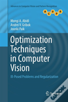 Optimization Techniques In Computer Vision