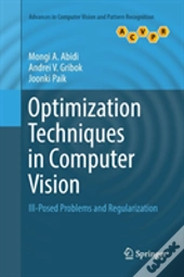Optimization Techniques In Computer Vision