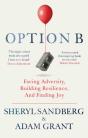 Option B - Preview