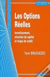 Capa do artigo Options Reelles (Les)