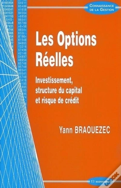 Capa do artigo Options Reelles (Les)