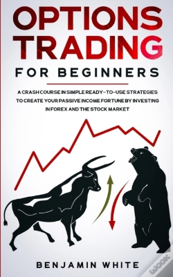 Capa do artigo Options Trading For Beginners