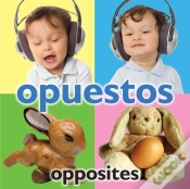Capa do artigo Opuestos