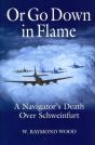 Or Go Down In Flame - Preview