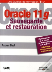 Capa do artigo Oracle 11g. Sauvegarde Et Securite