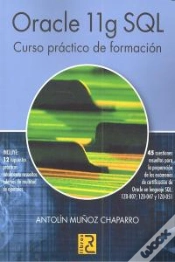 Capa do artigo Oracle 11g Sql  