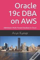 Oracle 19c Dba On Aws